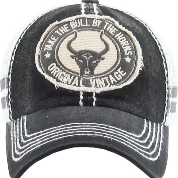 baseball cap with horns